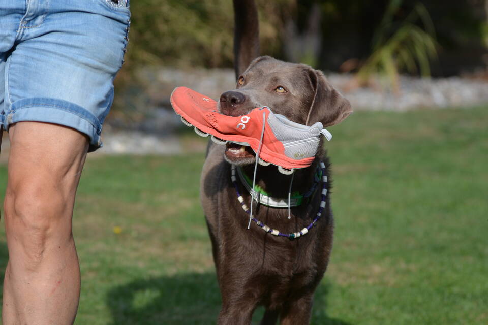 zeus-960.jpg zeus-960.jpg