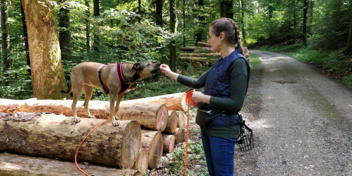 dockal_anja_und_kiki_02.jpg dockal_anja_und_kiki_02.jpg
