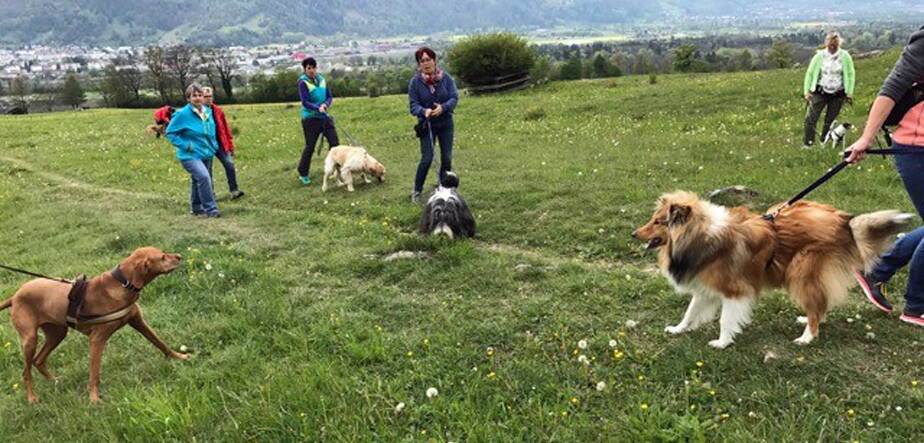 Sozialer Spaziergang Sozialer Spaziergang