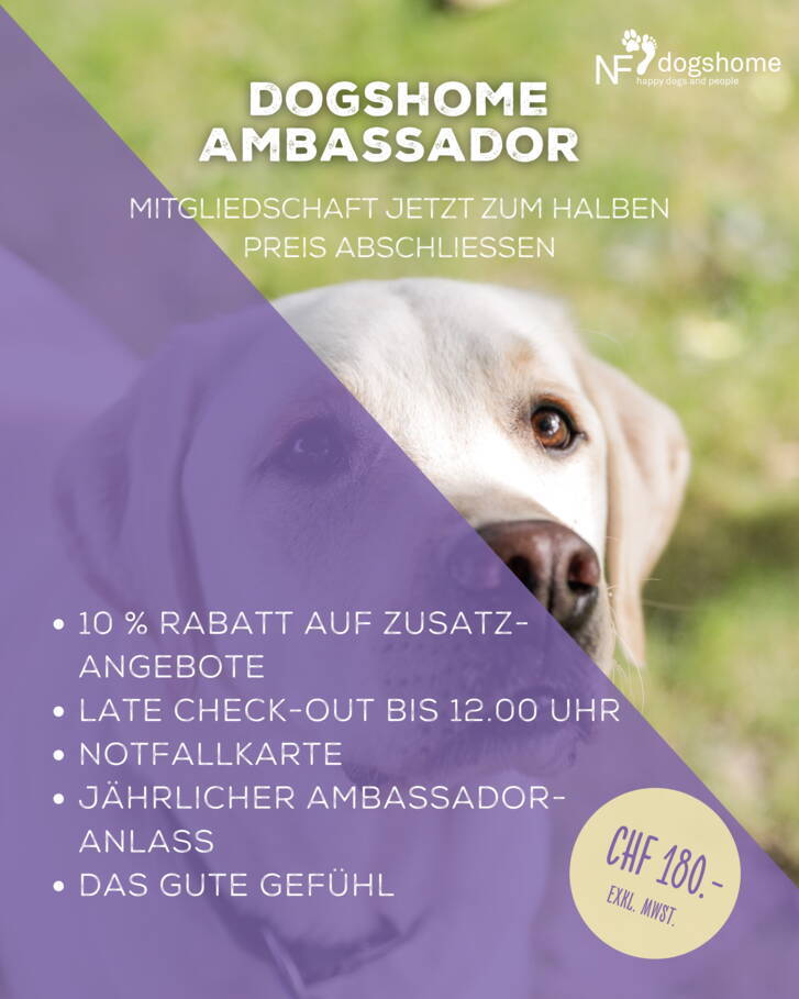 ambassador_1-727.jpg